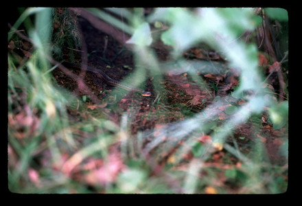 Slide934.jpg